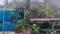 Telan Anggaran Rp 830 Juta, SPAM Kayoa Utara tak Berfungsi : Butuh Sikap DPRD Malut 5 SPAM Kayoa Utara 1 Media Berjaringan Indonesia Timur