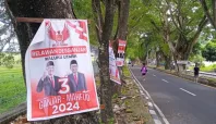 Ratusan APK Terpasang di Pohon, DLH Ternate Bakal Copot Paksa 5 APK AMIn 01 1 Media Berjaringan Indonesia Timur