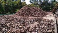 BPSMB Disperindag Malut Selalu Lakukan Pengawasan Kualitas Kopra dan Pala 7 FotoJet 5 Media Berjaringan Indonesia Timur