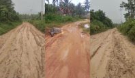 Habiskan Rp 6,6 Miliar, Jalan Desa Beringin - Nggele Pulau Taliabu Bak Kolam Babi 1 Jalan Beringin Nggele Pulau Taliabu Media Berjaringan Indonesia Timur