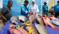Harita Nickel Fisihing Media Berjaringan Indonesia Timur