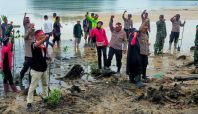 Sambut AMMTC ke-17, Polres Pulau Taliabu Tanam Pohon Mangrove 4 Polres Taliabu gelar penanaman 1000 pohon 1 Media Berjaringan Indonesia Timur