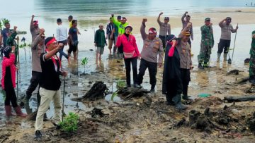 Polres Taliabu gelar penanaman 1000 pohon 1 Media Berjaringan Indonesia Timur