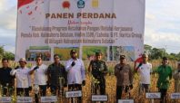panen perdana 1 Media Berjaringan Indonesia Timur