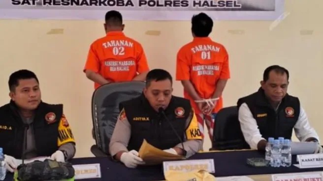 Pengedar 2,9 Kg Ganja di Halmahera Selatan Dibekuk, Terancam 20 Tahun Penjara 1 2 pelaku pengedar dibekuk Satres Narkoba Polres Halmahera Selatan Media Berjaringan Indonesia Timur