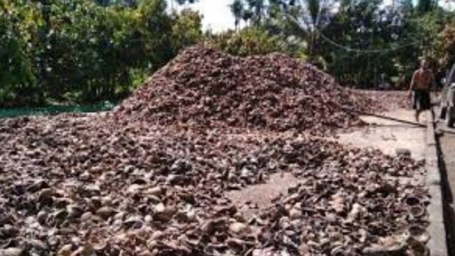 FotoJet 5 Media Berjaringan Indonesia Timur