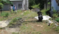 Warga Fitu Tagih Janji Makmur Gamgulu Soal Dampak Galian C : Jalan dan Got Rusak 4 dampak jalan rusak akibat galian c Media Berjaringan Indonesia Timur