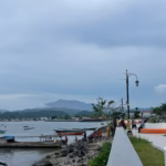 2cb78ce1 2c39 40a1 a106 3b8070730997 Media Berjaringan Indonesia Timur