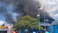 Aset pemprov maalut terbakar Media Berjaringan Indonesia Timur