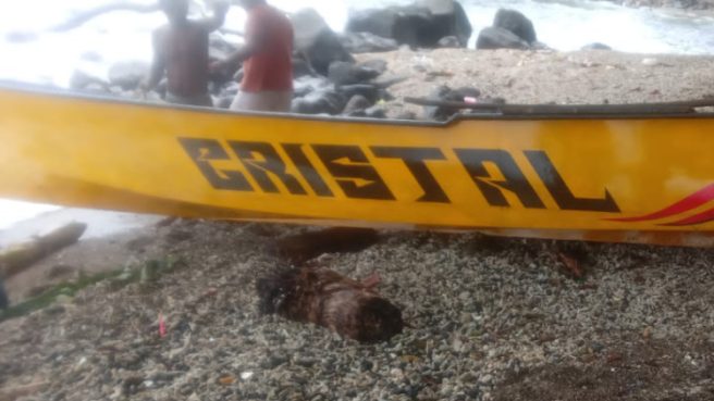 warga maftutu dikabarkan hilang saat melaut | Media Berjaringan Indonesia Timur