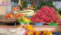 Harga cabai rawit di ternate 1 | Media Berjaringan Indonesia Timur