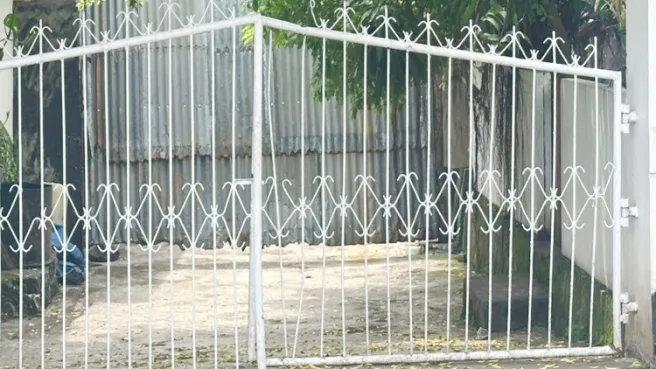 gudang jambula Media Berjaringan Indonesia Timur