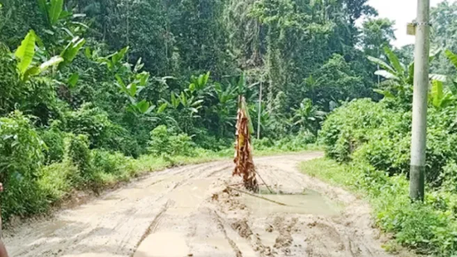 proyek jalan Media Berjaringan Indonesia Timur