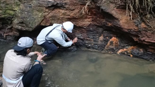 Mulai Terkuak, Fakta yang Mencengangkan Bahwa di Yogyakarta Terdapat Singkapan Batubara 1 sengkapan batubara Media Berjaringan Indonesia Timur