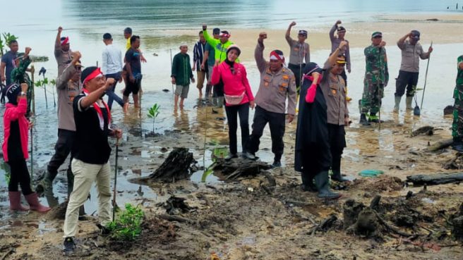 Sambut AMMTC ke-17, Polres Pulau Taliabu Tanam Pohon Mangrove 1 Polres Taliabu gelar penanaman 1000 pohon 1 | Media Berjaringan Indonesia Timur