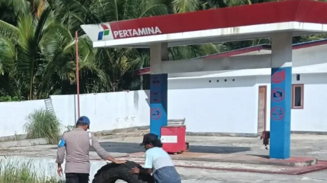 APMS Laromabati diboikot Media Berjaringan Indonesia Timur