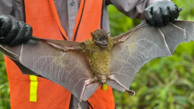 Harita Nickel lestarikan satwa Media Berjaringan Indonesia Timur