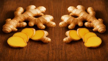 Jahe Media Berjaringan Indonesia Timur