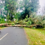 3f457fc2 2a4c 4fe4 bd4a a8c5f46cef80 Media Berjaringan Indonesia Timur